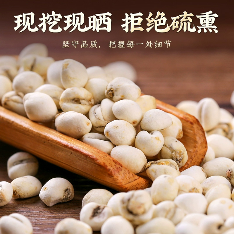 川贝母松贝珍珠贝松贝仿野生小川贝