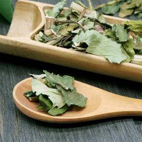 黄花败酱龙芽败酱草