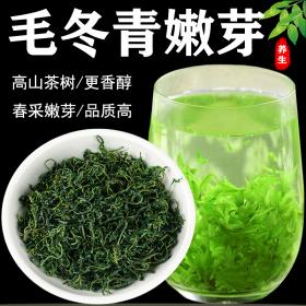 毛冬青嫩芽茶正宗云南毛冬青茶