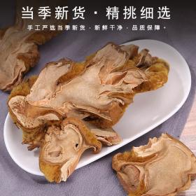 金毛狗脊生苟脊金毛狗脊蕨