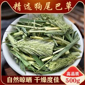 野生狗尾巴草新鲜特级狗尾草干