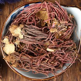 野生紫苑返魂草紫宛紫苑紫菀