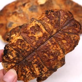 龟板龟板醋制龟板整块整块炙龟...