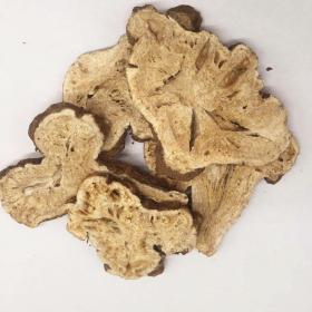 生白术片晒干精选生白术