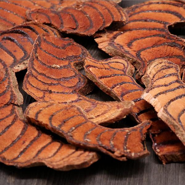 广西大血藤红藤鸡血藤