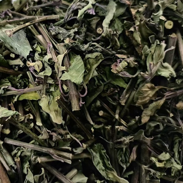 野生猫须草降三高养生茶高山猫须草茶