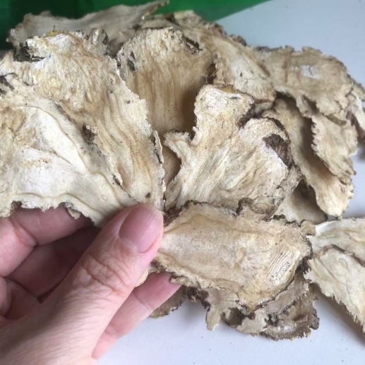 高海拔岷县当归头切片调经养颜当归片