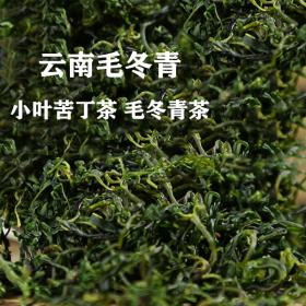 南毛冬青嫩叶茶刮油解腻促进新...