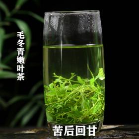 云南毛冬青嫩叶茶辅助降三高血...