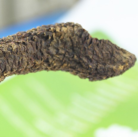 阿拉善肉苁蓉润肠道抗疲劳野生肉苁蓉