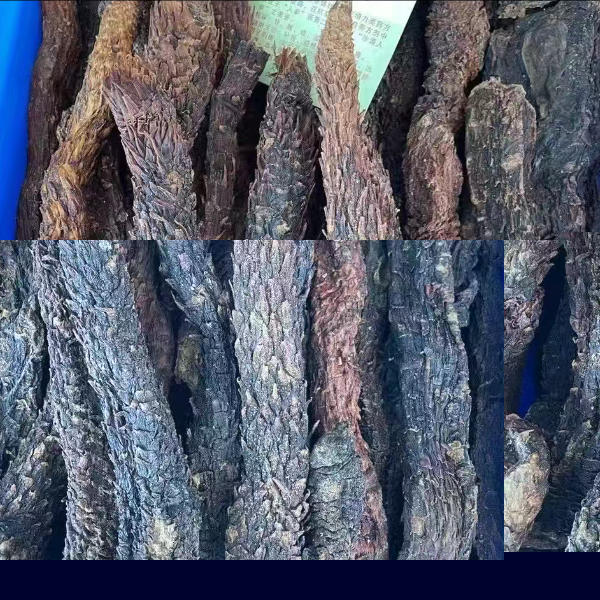 阿拉善肉苁蓉润肠道抗疲劳野生肉苁蓉