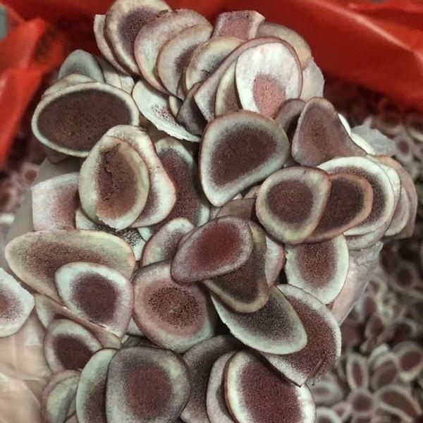 东北鹿角片补肝肾益精血新货雄鹿角片