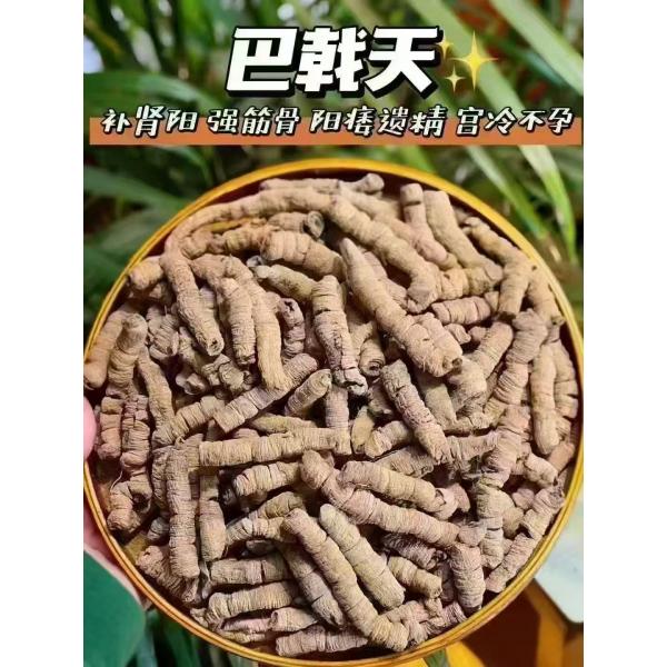 德庆巴戟天肉乌鸡炖汤阳虚野生巴戟天