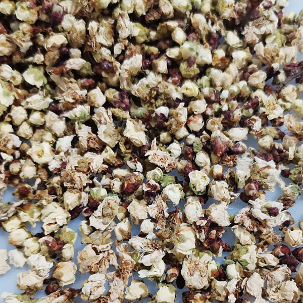 绿萼梅干花茶教师熬夜专属野生白梅花