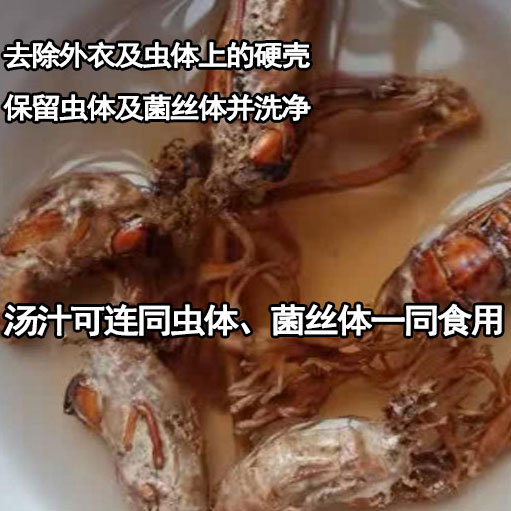 大别山金蝉花煲汤泡酒两用野生金蝉花