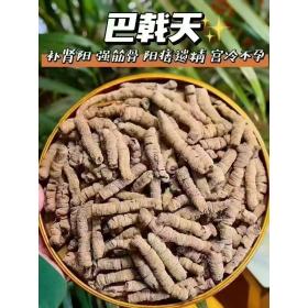 德庆巴戟天中老年关节养护严选...